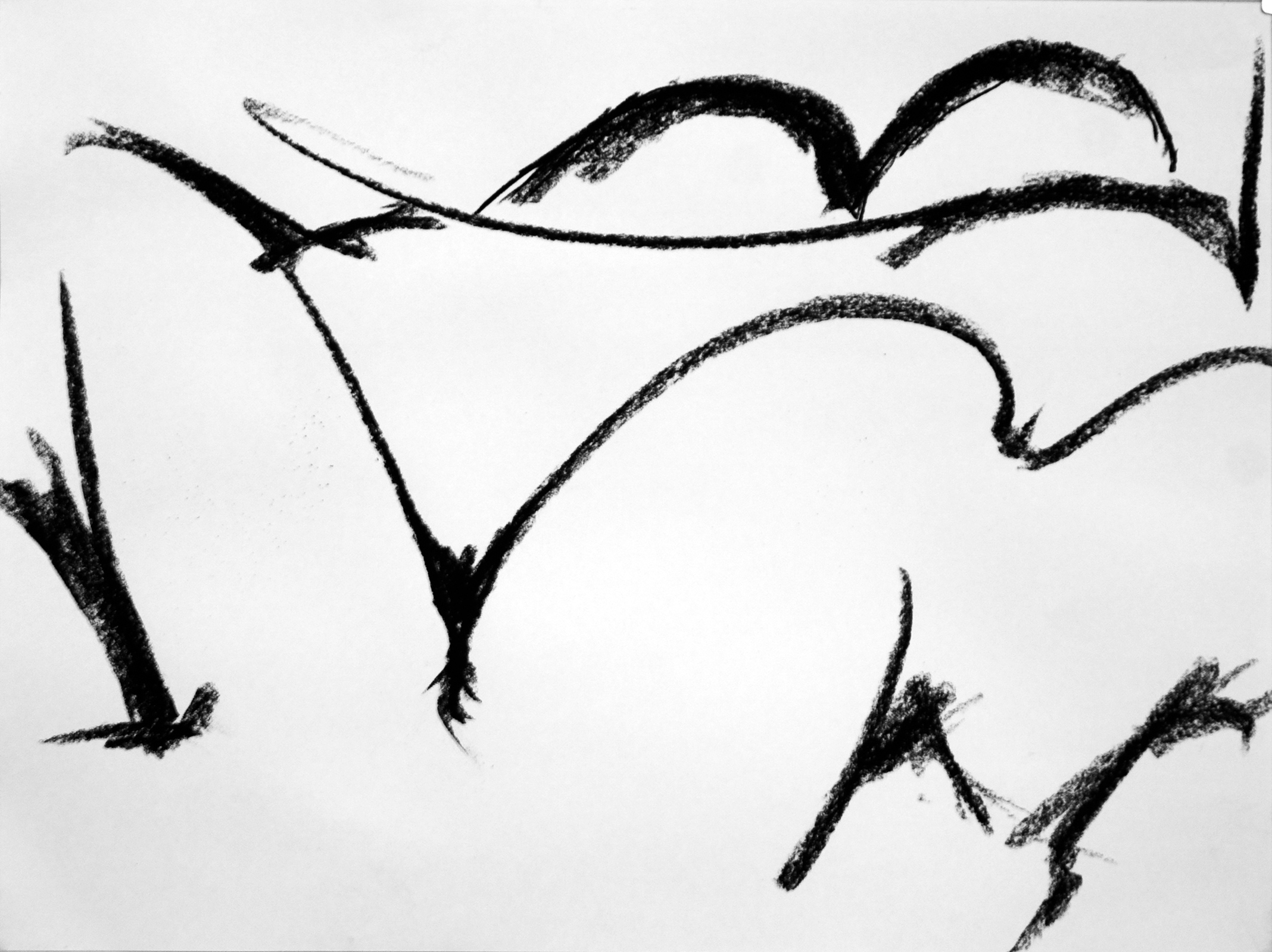 Boolarra South Landscape IV, 2006 by Adrian Mauriks.