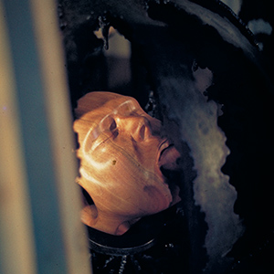 Click to enlarge image