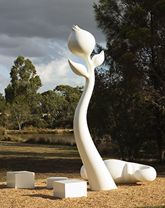 Click to enlarge image